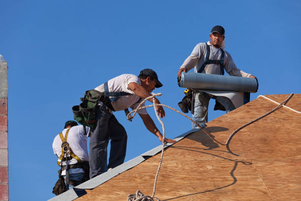 Best Roof Repair Services  in Tyler, MN