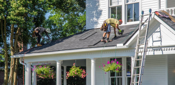 Best Roof Gutter Cleaning  in Tyler, MN